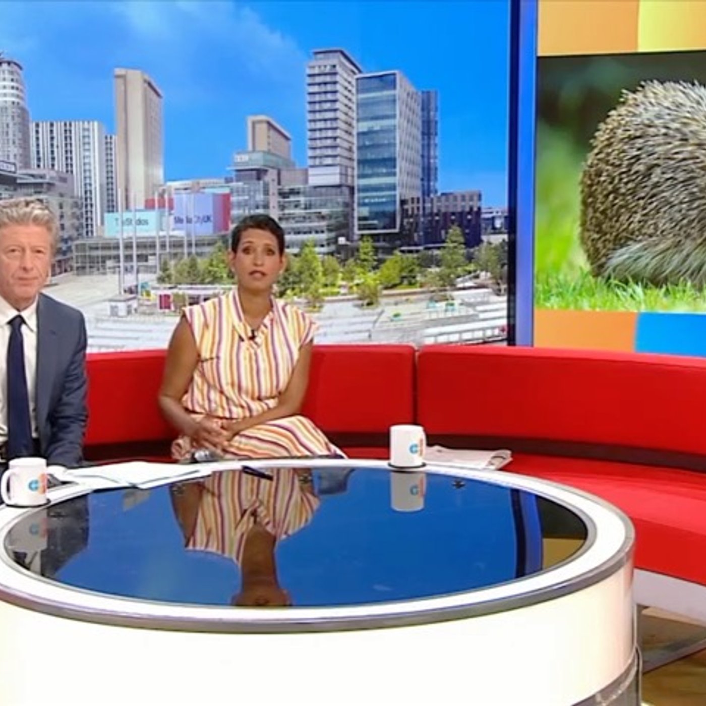 BBC UK: Saving Hedgehogs from Space episode artwork